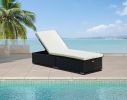 Protivin Reclining Chaise Lounge with Cushion